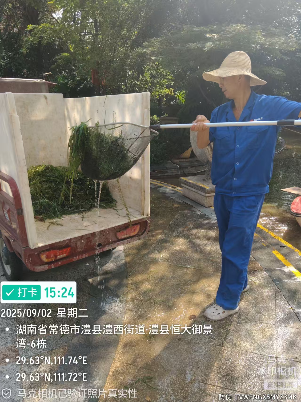 常德物业管理,物业企业,云顶集团3118物业